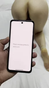 夜色王朝论坛登陆